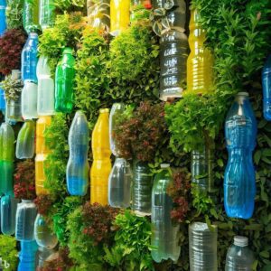 Botón Acceso a Jardines Caseros de Botellas de Plastico 